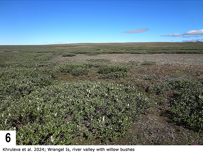 habitat