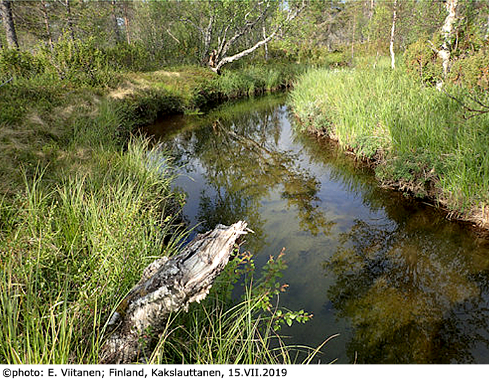 habitat