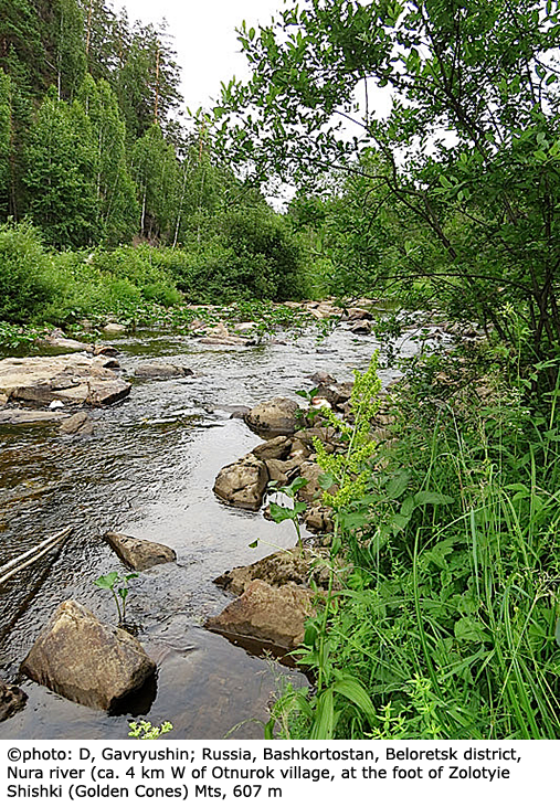 habitat