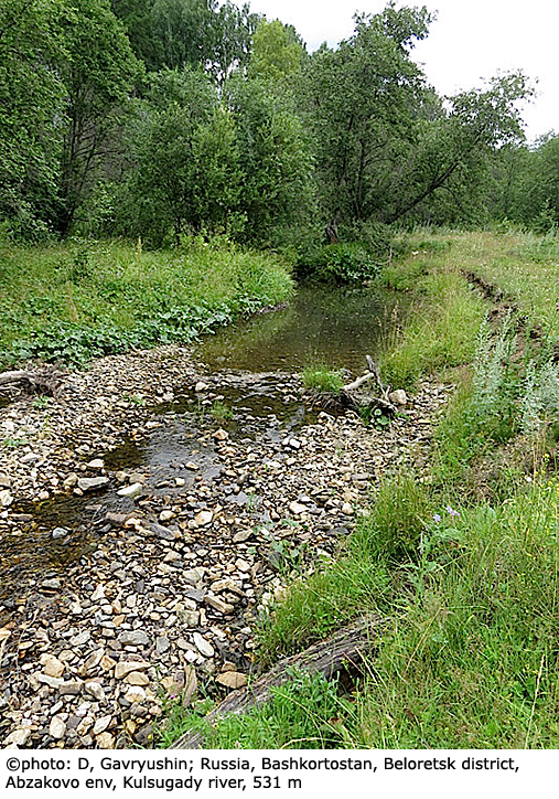 habitat