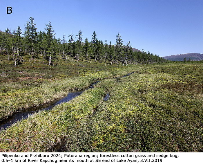 habitat