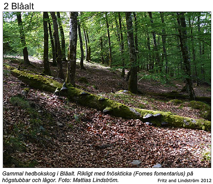 habitat