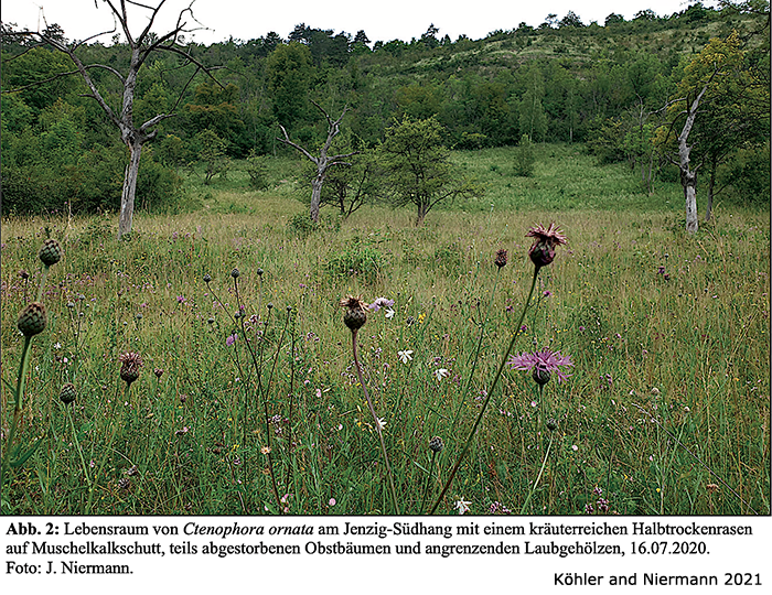 habitat