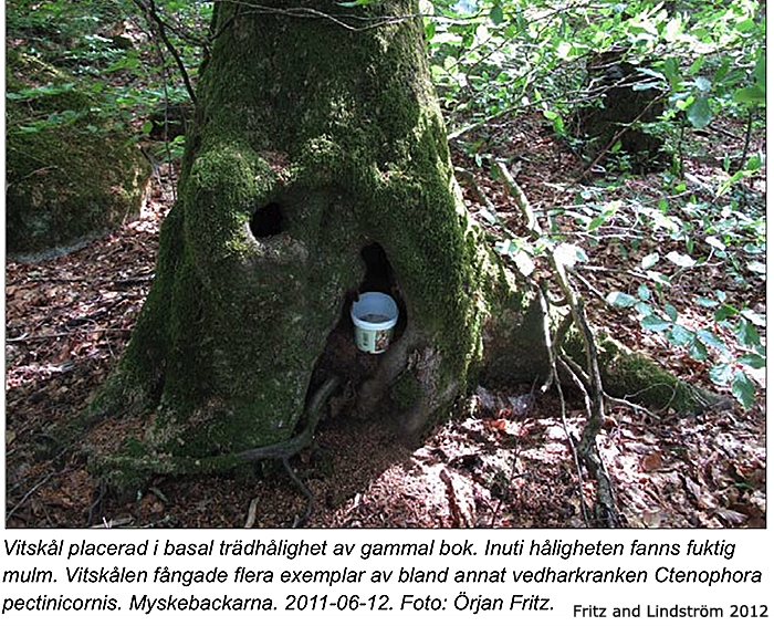 habitat