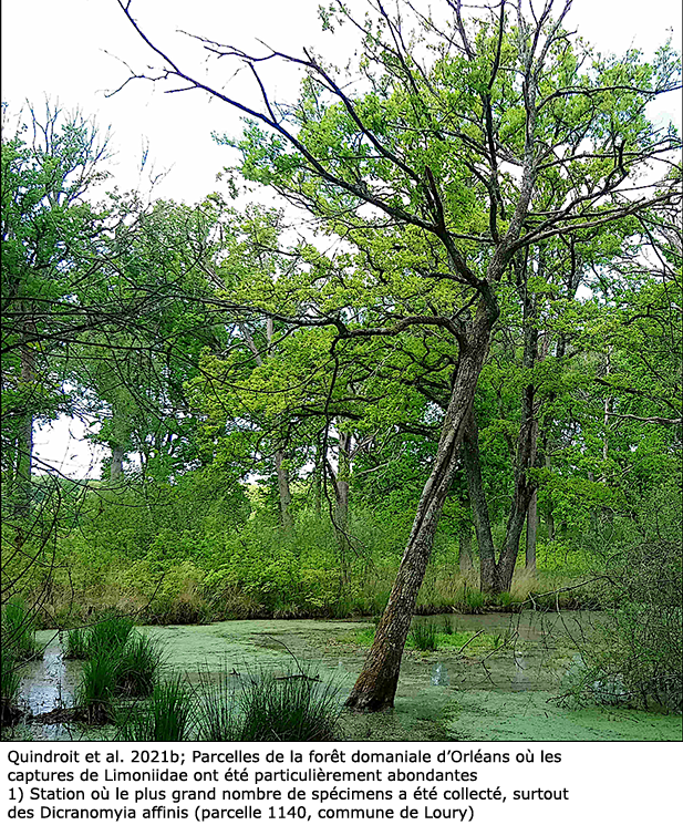 habitat