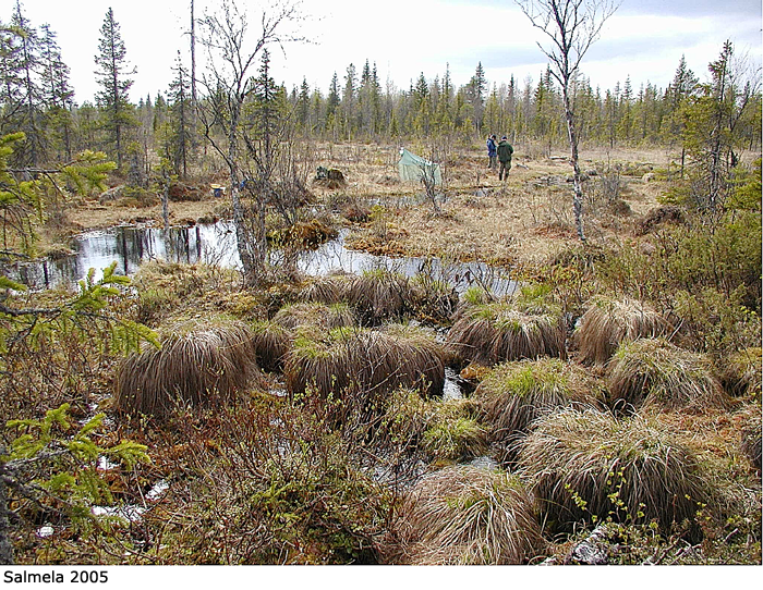 habitat