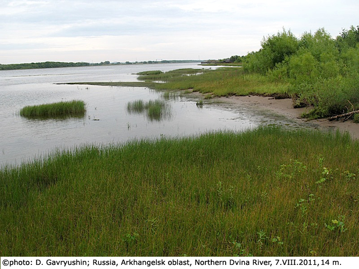 habitat