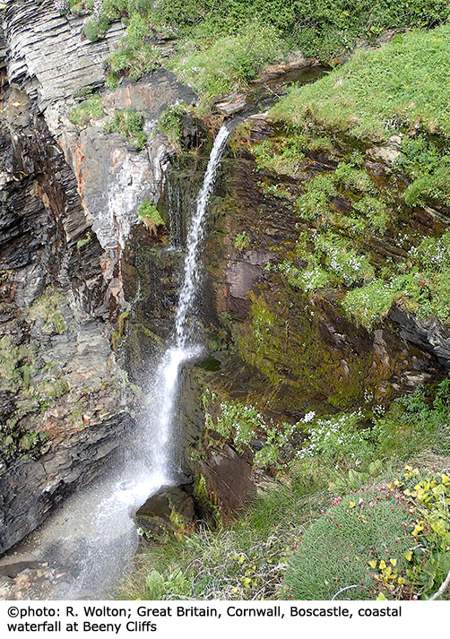 habitat