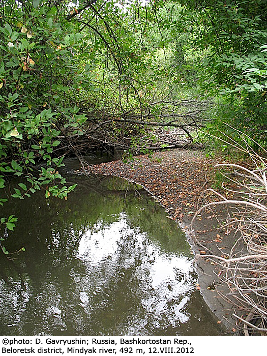 habitat