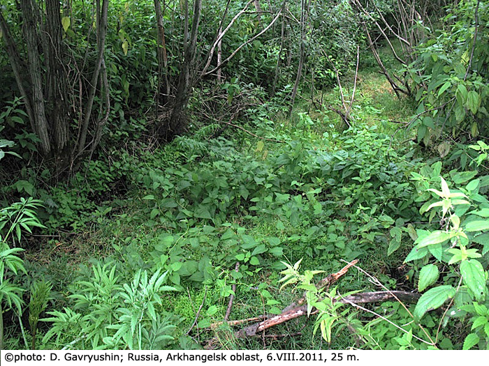habitat
