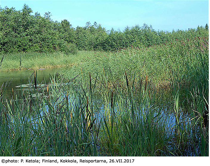 habitat