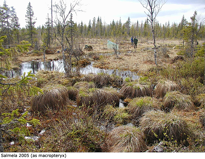 habitat
