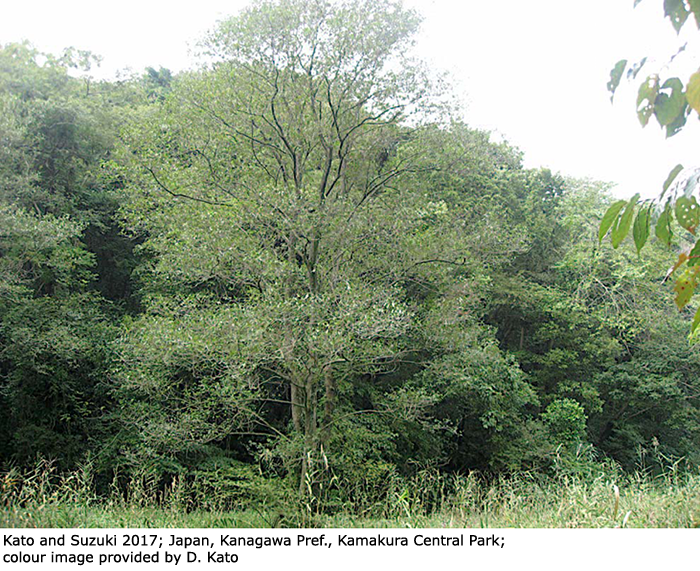 habitat