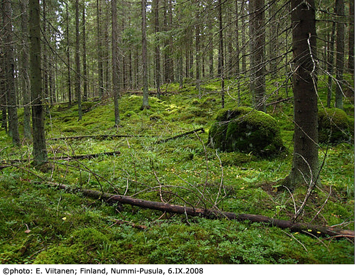 habitat