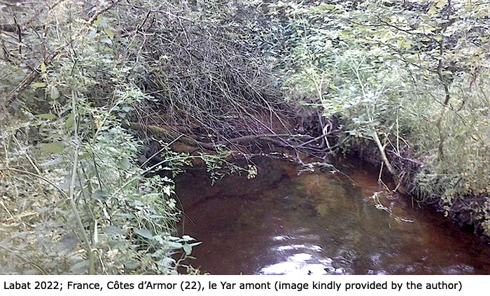 habitat