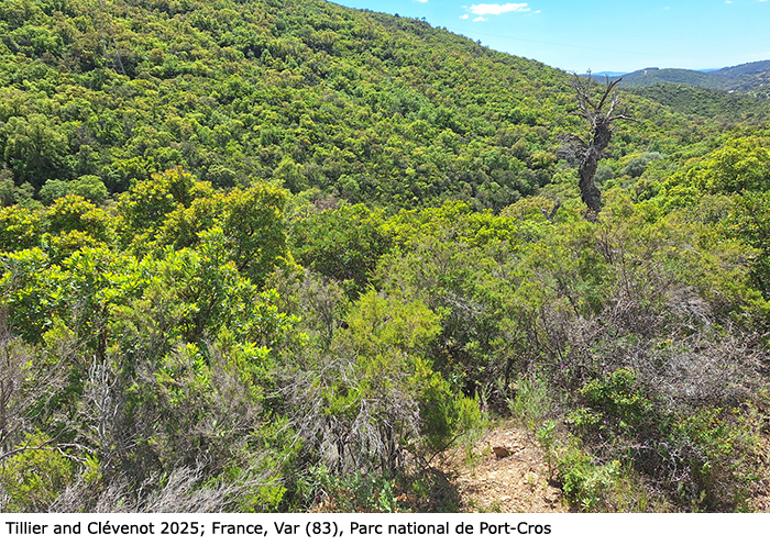 habitat