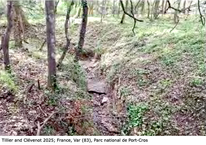 habitat