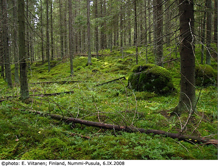 habitat