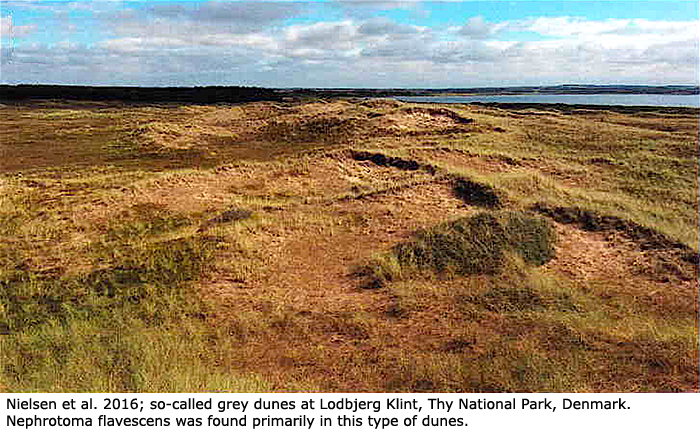 habitat
