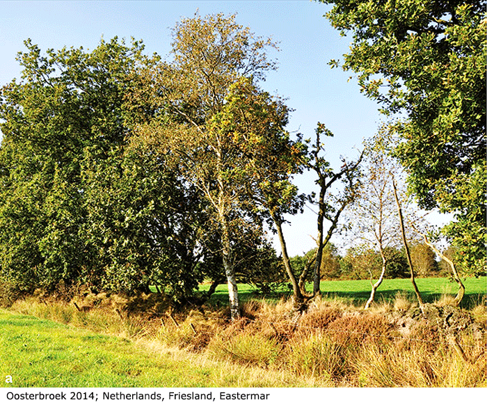 habitat
