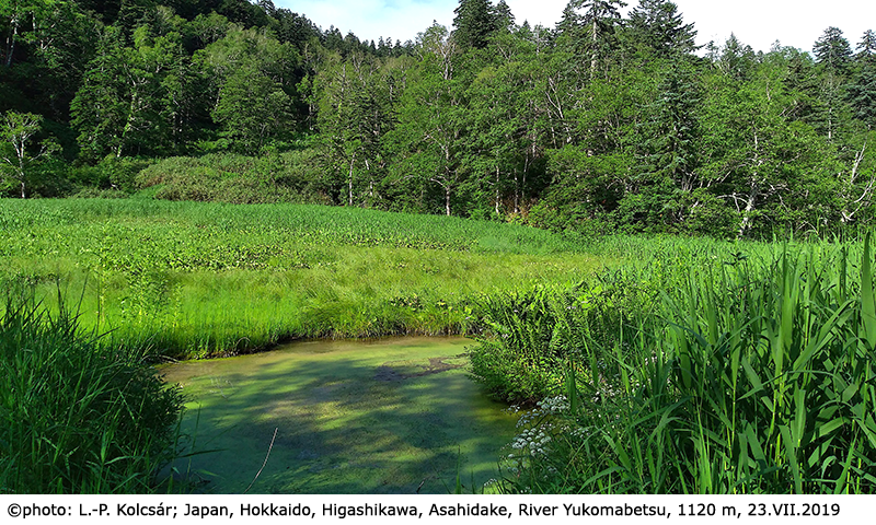 habitat