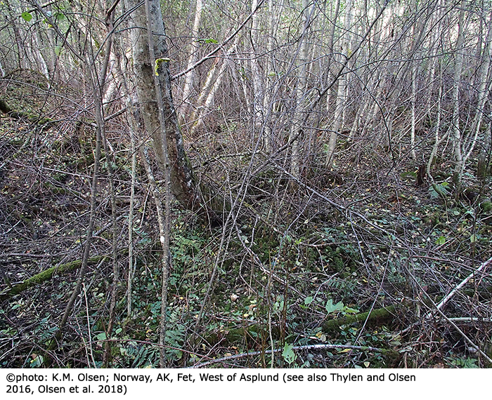 habitat