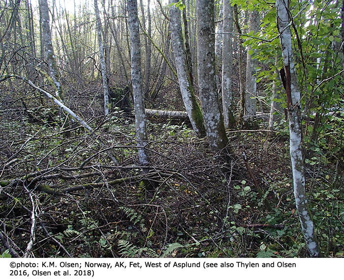 habitat