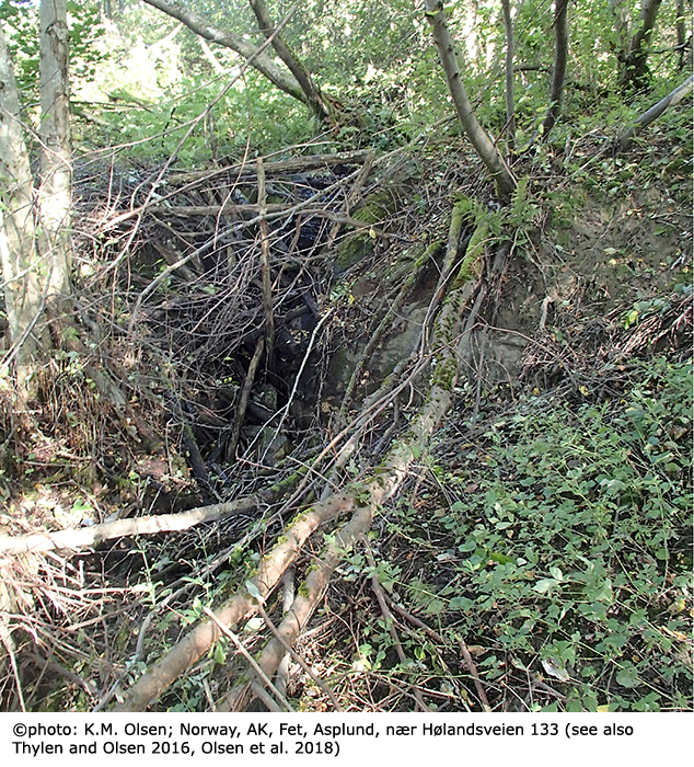 habitat