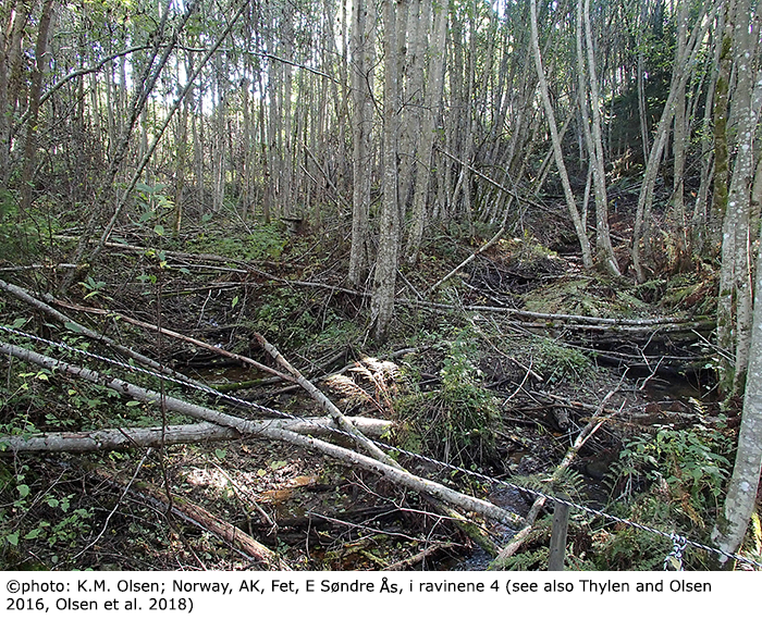 habitat