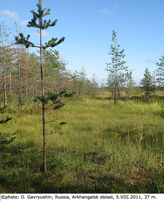 habitat
