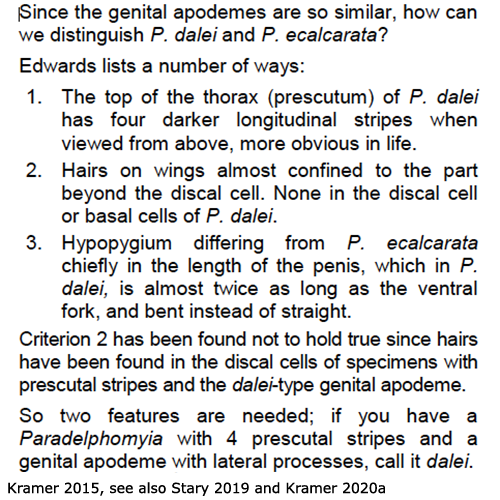 body part(s) - thorax