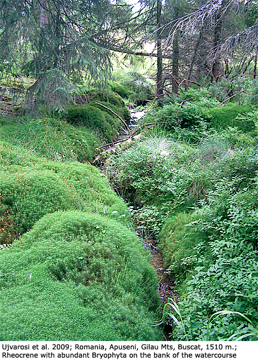 habitat