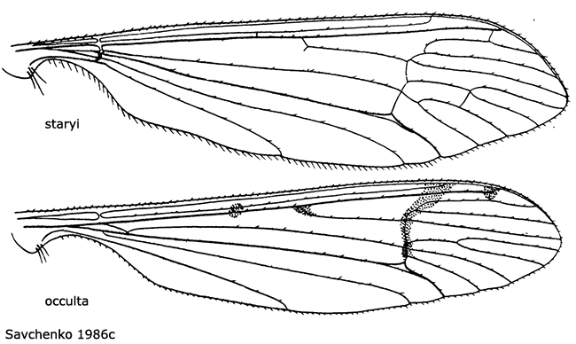 wing