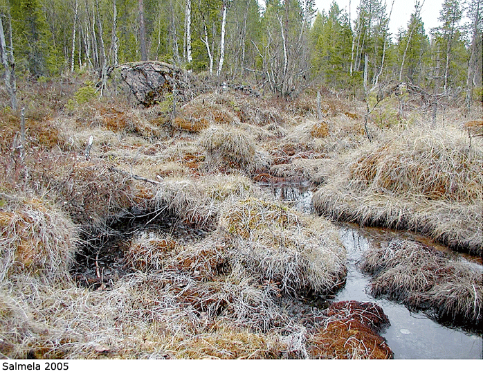 habitat