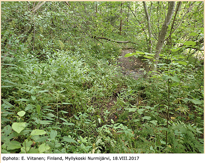habitat