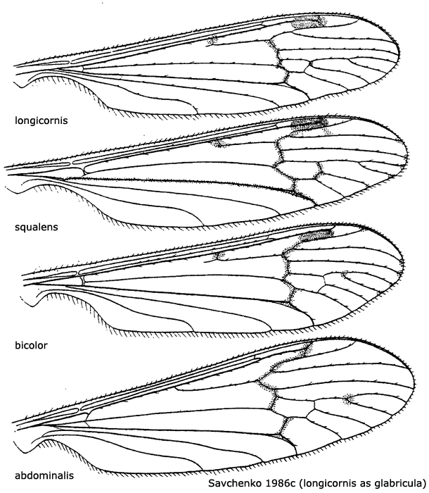 wing