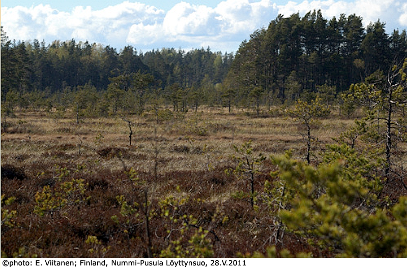habitat