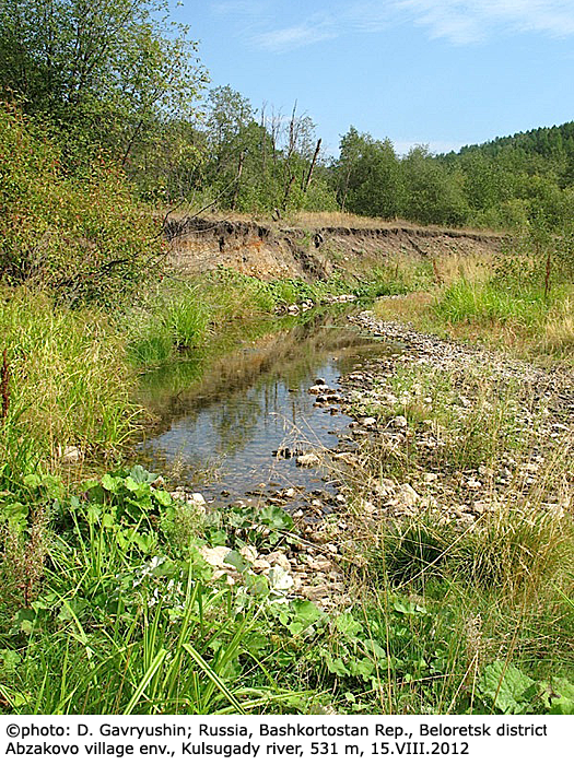 habitat