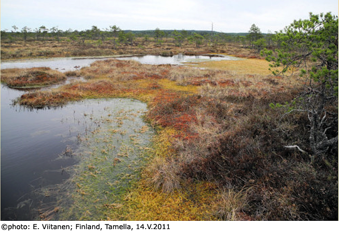 habitat