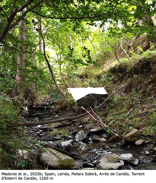 habitat