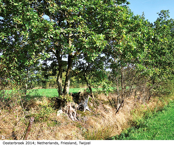 habitat