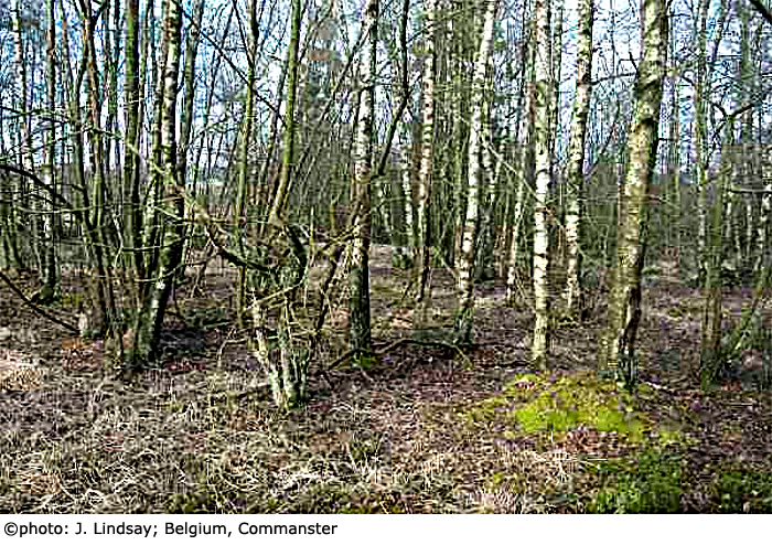 habitat