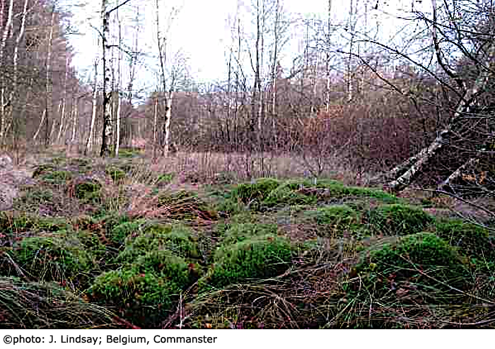 habitat
