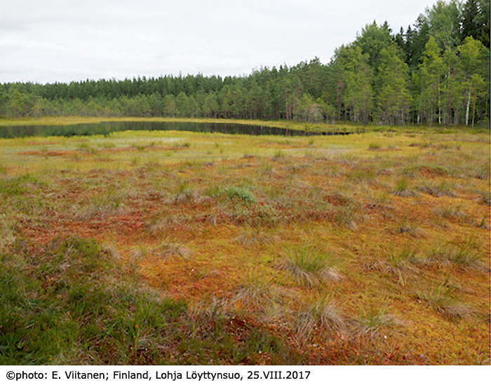 habitat