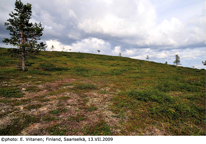 habitat