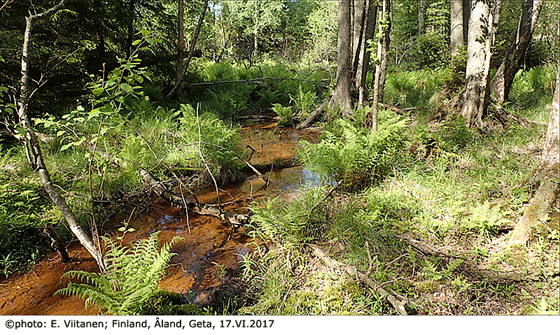 habitat