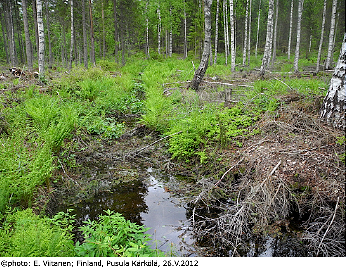 habitat