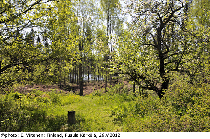 habitat