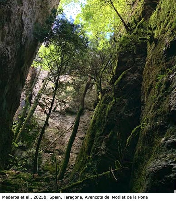 habitat