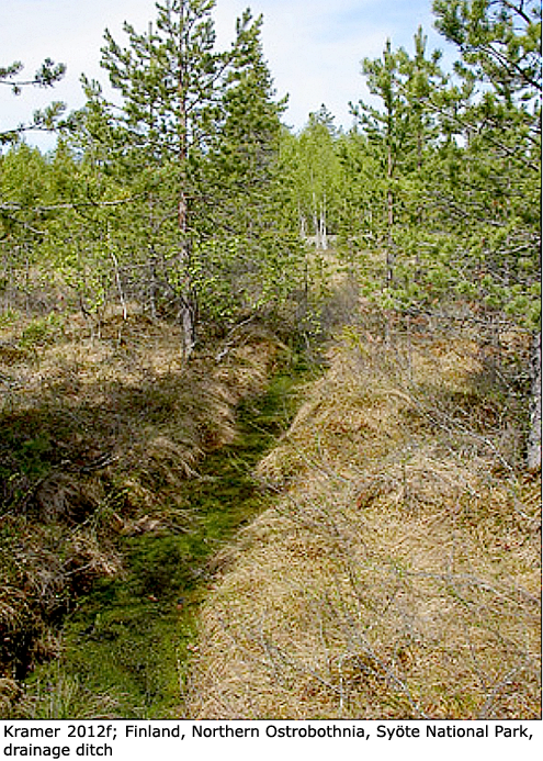 habitat